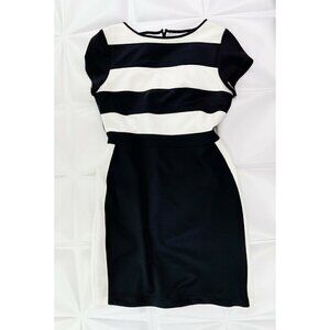 Rare Sandra Darren Sz 12 Black Contrast Colorblock Sheath Dress Knit l Slimming